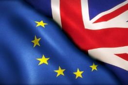 hSo Brexit Policy Statement